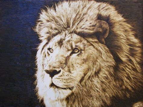 The Lion..Julie Bender | Pyrography patterns, Pyrography, Pyrography art