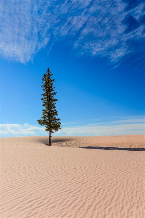 Athabasca Sand Dunes Provincial Park | Tourism Saskatchewan