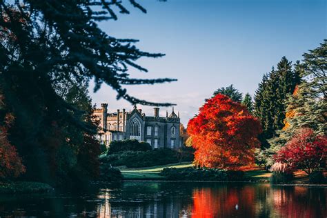 ITAP of Autumn in England. : r/itookapicture