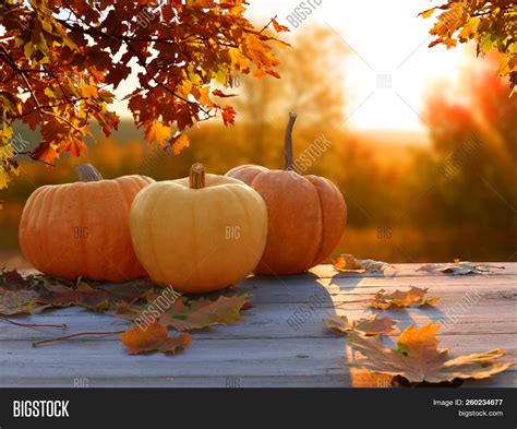 Autumn Background Image & Photo (Free Trial) | Bigstock