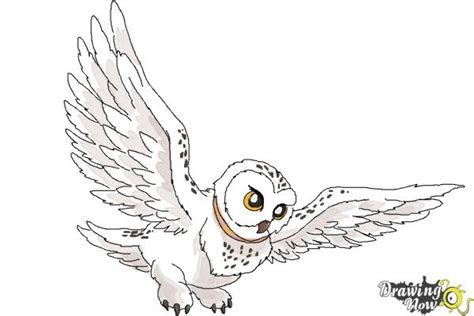 Harry Potter Hedwig Drawing