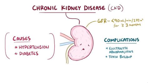 Chronic kidney disease: Video, Anatomy & Definition | Osmosis