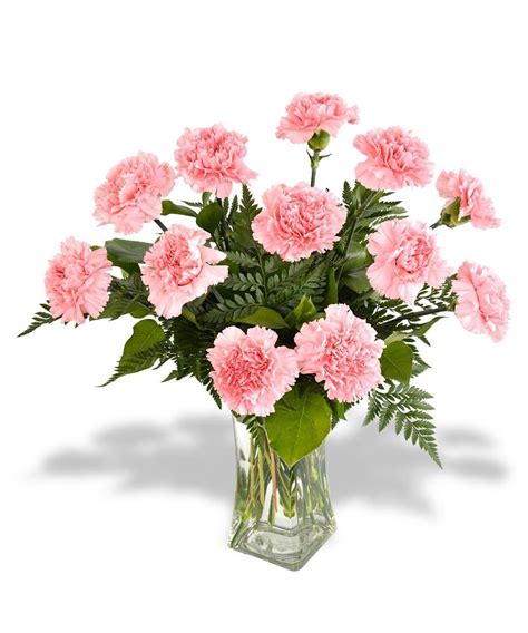 Long Stemmed pink Carnations in vase | * Carnation | Pinterest | Pink carnations, Carnation and ...