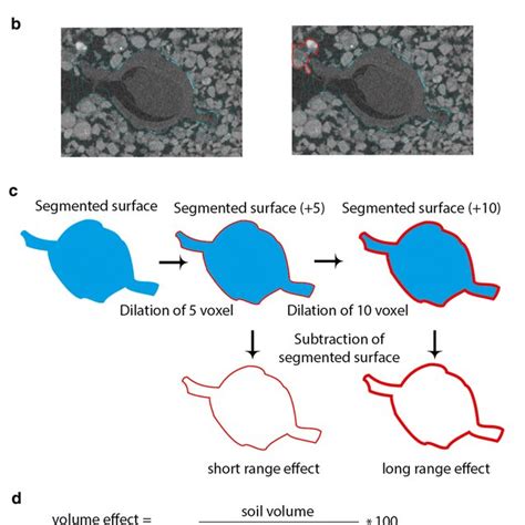 The underlying “iceberg effect”. a Schematic representation of the... | Download Scientific Diagram