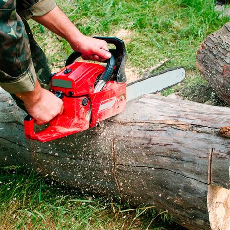 9 Things You Should Never Do to Your Chain Saw | Chainsaw, Repair, Chainsaw repair