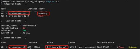 Manual Rectification of the Brain Split Fault in a Database Cluster | MogDB Docs