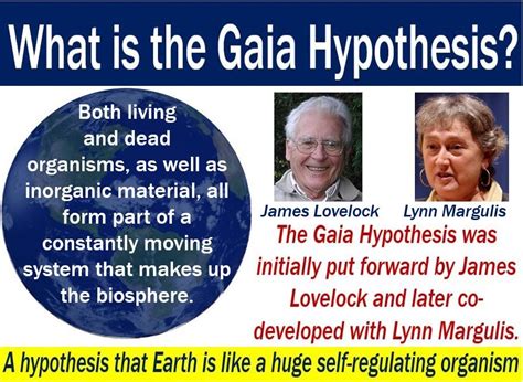 What is the Gaia hypothesis? - Market Business News