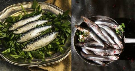 Anchovies vs Sardines: What’s The Difference? Let’s Compare