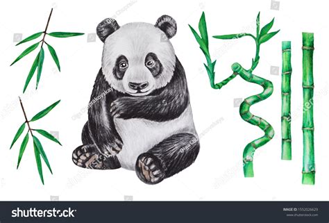 How To Draw A Realistic Panda Bear