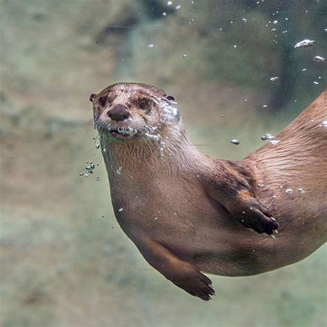 Gallery - Milwaukee County Zoo