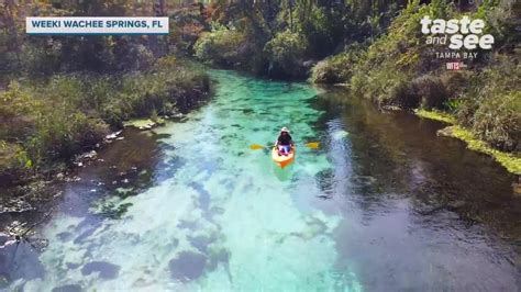 Weeki Wachee Springs is open for kayaking | Taste and See Tampa Bay - YouTube