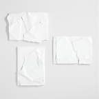 'Nereus' Plaster Wall Art Panels by Alexis Gourguechon , Set of 3 + Reviews | Crate & Barrel Canada