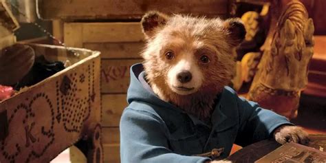 Paddington 3: Cast, Release Date and more details! - DroidJournal