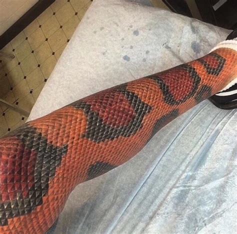 This snake skin tattoo on some dude’s leg: : r/ATBGE