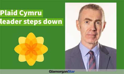 Plaid Cymru leader steps down following report into the party's culture ...