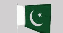 Pakistan Flag Gif GIFs | Tenor