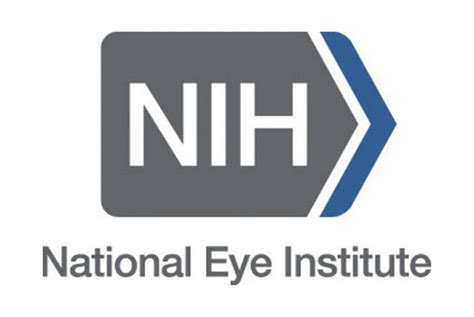 MIR Researchers Receive Grant from National Eye Institute