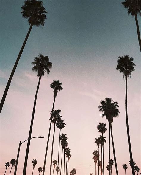 palm trees & pink sunsets #LA | Sunset photography, Instagram, Sunset ...