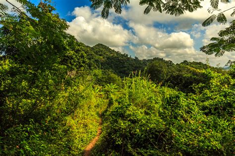 Climbing With The Squirrels In Kep National Park | Terry Treks