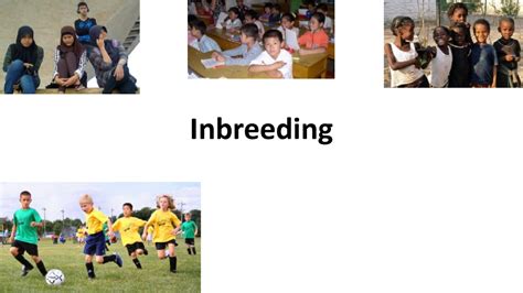 28 - Inbreeding - Genetics, Calculing - Docsity