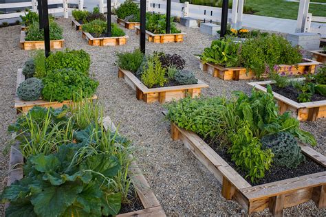 Raised bed community garden #LiveDaybreak #DaybreakUT | Community ...