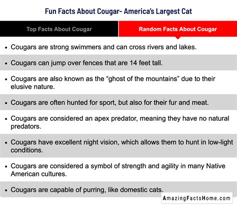 Random Facts About Cougar