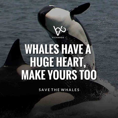 Whales have a huge heart, make yours too | Save Whales Slogans | World ...