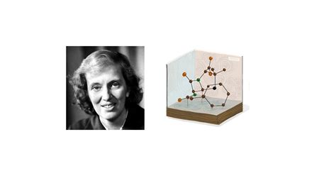 Dorothy Hodgkin Biography | POPSUGAR Tech