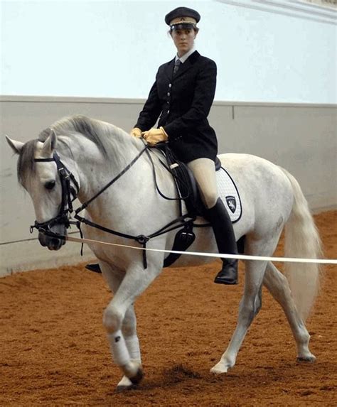 Welcome to The Spanish Riding School of Vienna Live Tours | Spanish riding school, Dressage ...