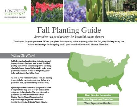 your Fall Bulb Planting Guide - Longfield Gardens