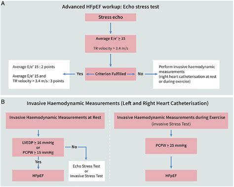 How to diagnose heart failure with preserved ejection fraction: the HFA–PEFF diagnostic ...