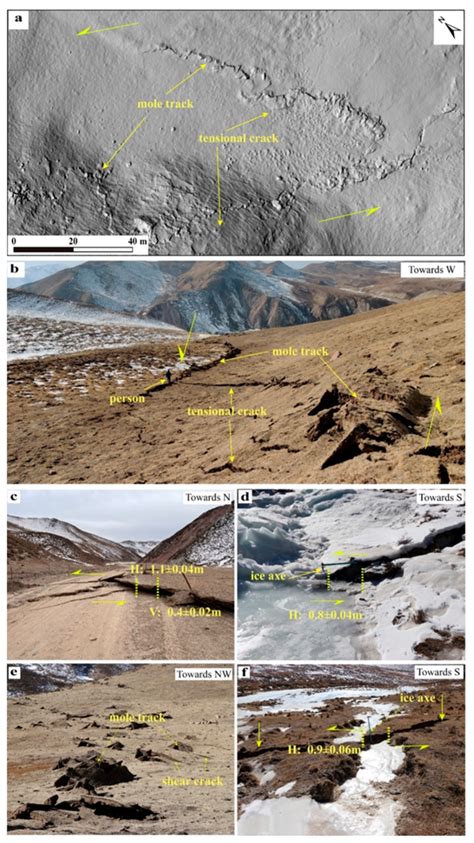 Characteristics of typical surface rupture in S2. (a) Typical rupture ...