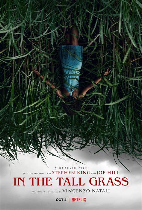 In the Tall Grass Trailer Teases Netflix's Twisted Stephen King Adaptation | Collider