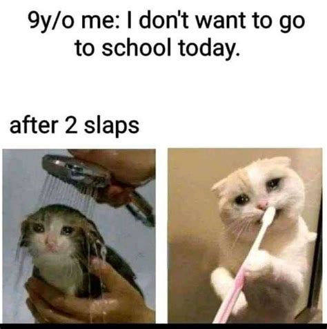 9 y/o me: I don’t want to go to school today. after 2 slaps | Funny school jokes, Crazy funny ...