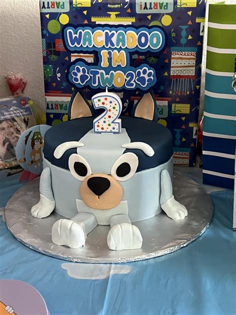 Birthday Party : r/bluey