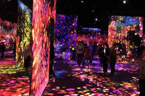 Visit TeamLab Borderless: An Immersive Experiential Art Museum in Tokyo