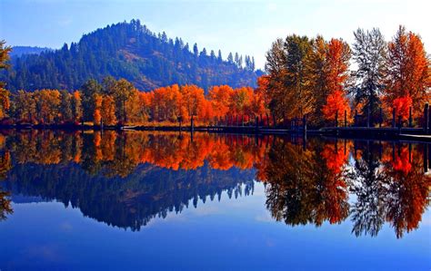 Fall colors | St. Joe River, Idaho | Rebecca Tifft | Flickr