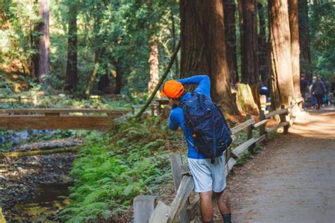 5 of The Best Hikes in Muir Woods + Top Tips on How to Get Here