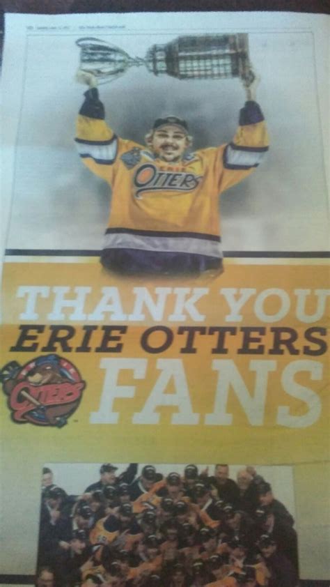 Pin by Tom Cracolici on erie otters | Baseball cards, Erie, Otters