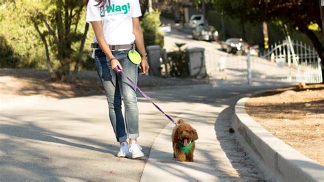 Wag, a dog-walking startup that once raised $300 million from a single investor, is going public ...