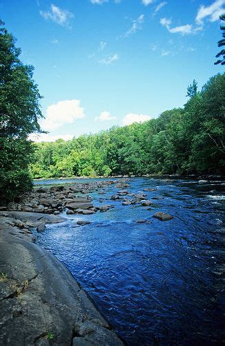 Peshtigo River State Forest - Wisconsin DNR | State forest, Wisconsin state parks, Wisconsin travel