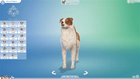 The Funniest Cats: Cat Breeds Sims 4