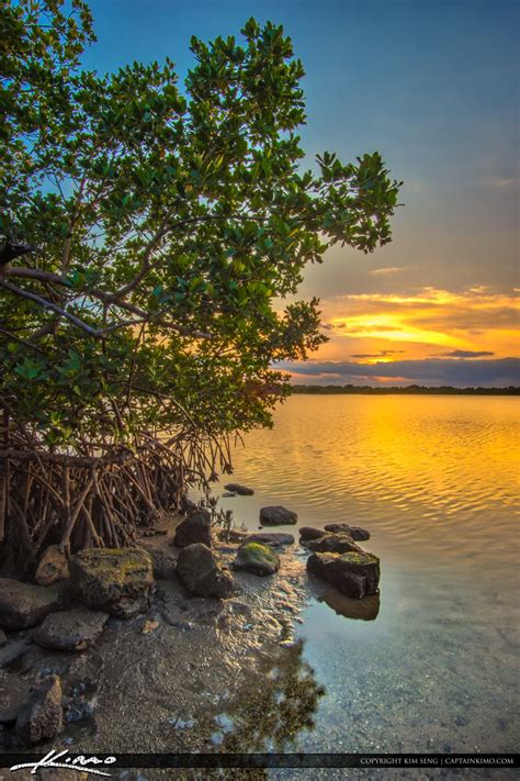 lake worth lagoon | Product Tags | Royal Stock Photo