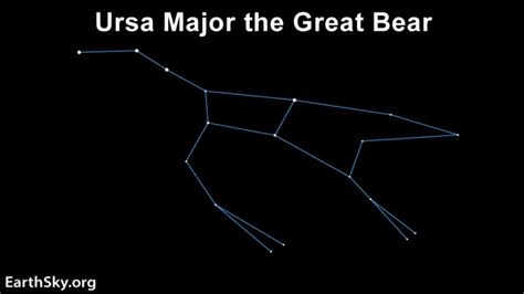 Ursa Major Bear