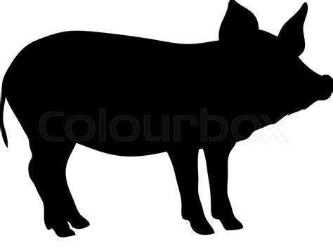 Silhouette pig | Stock vector | Colourbox