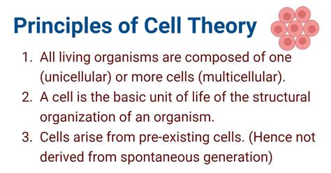 3 Principles of Cell Theory with Historical Journey