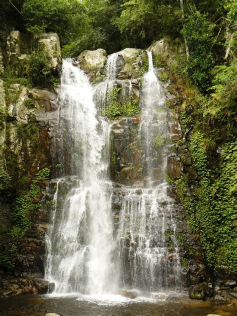 File:Minnamurra Falls 2012.jpg - Wikimedia Commons