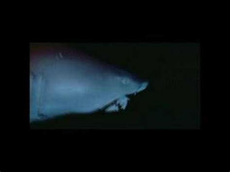 Strange Wilderness Shark Clip - YouTube