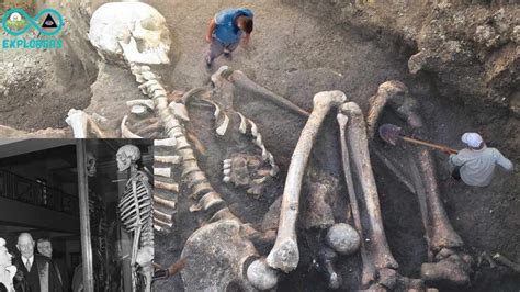 Discovery Of Bizarre Giant Skeletons In Ancient British Era | Giant ...