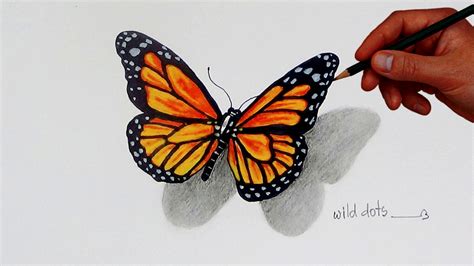 How To Draw A Butterfly | Simple And Easy Steps | | Butterfly drawing, Butterfly sketch ...